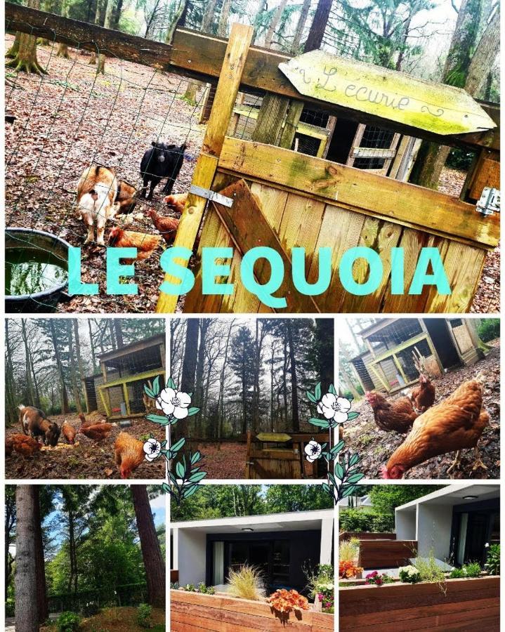 Le Sequoia Apartment แซ็งต์-เซบาสเตียง-ซูร์-ลัวร์ ภายนอก รูปภาพ