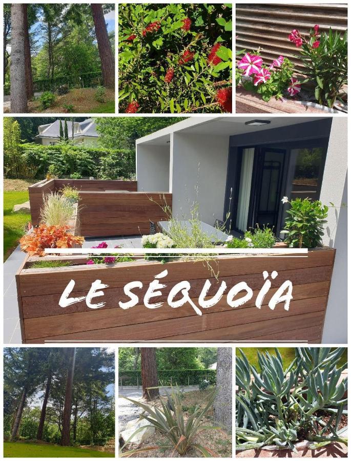Le Sequoia Apartment แซ็งต์-เซบาสเตียง-ซูร์-ลัวร์ ภายนอก รูปภาพ